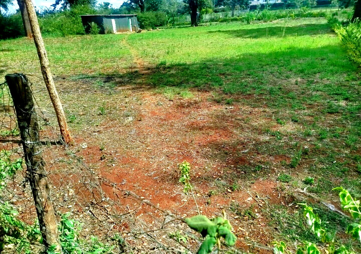 Half Acre Garden Plot at KSh 48M