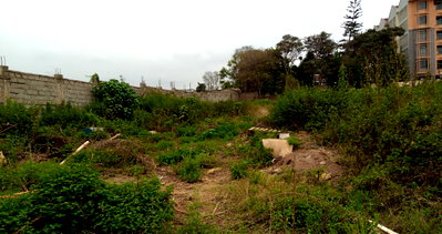 KSh 60M Garden Estate Plot