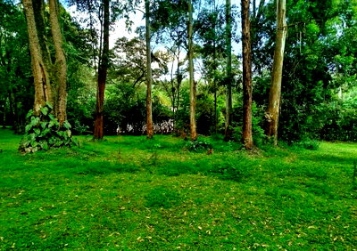 1-Acre Karen Plot at KSh 70M