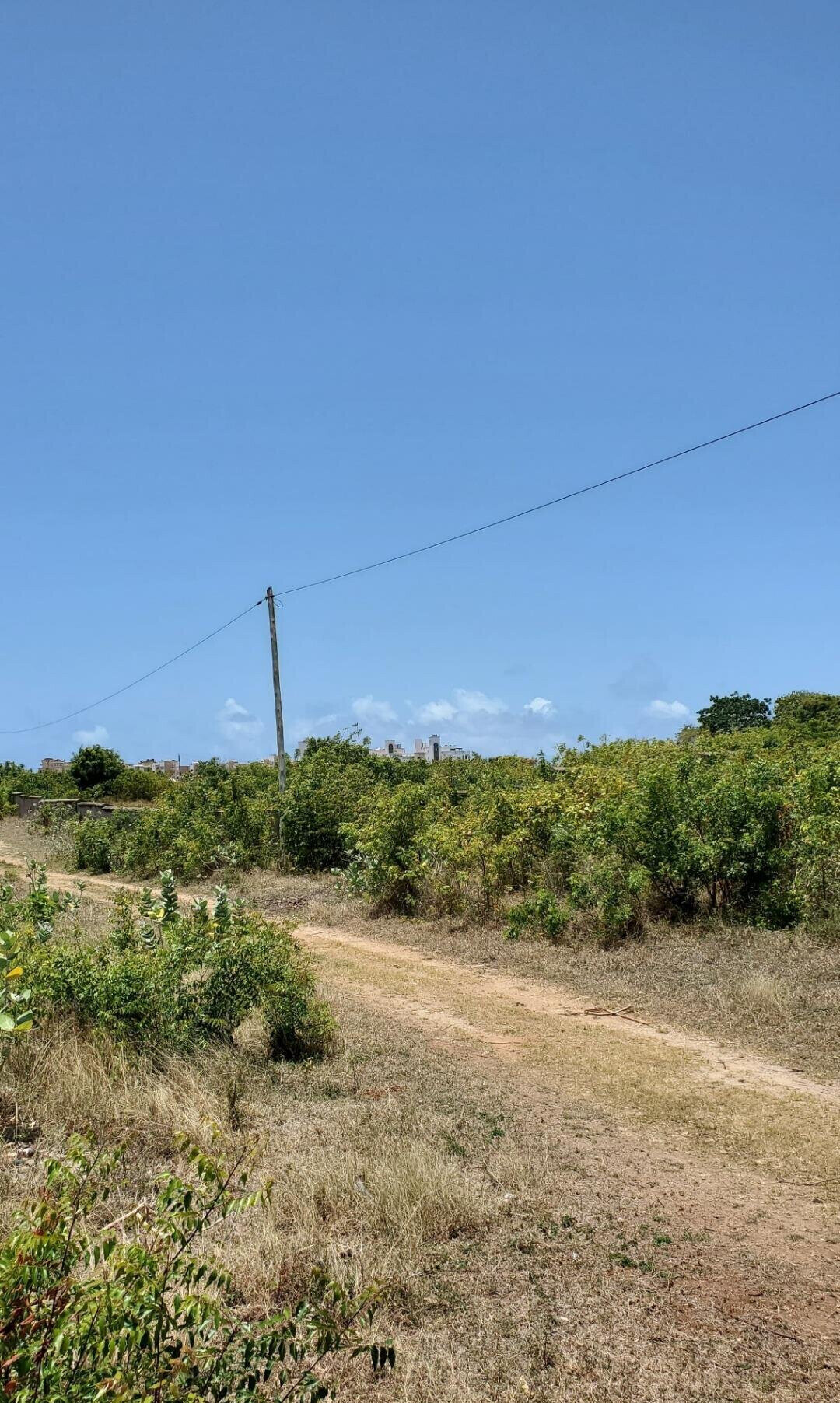 2-Acre Shanzu Gem at KSh 65M