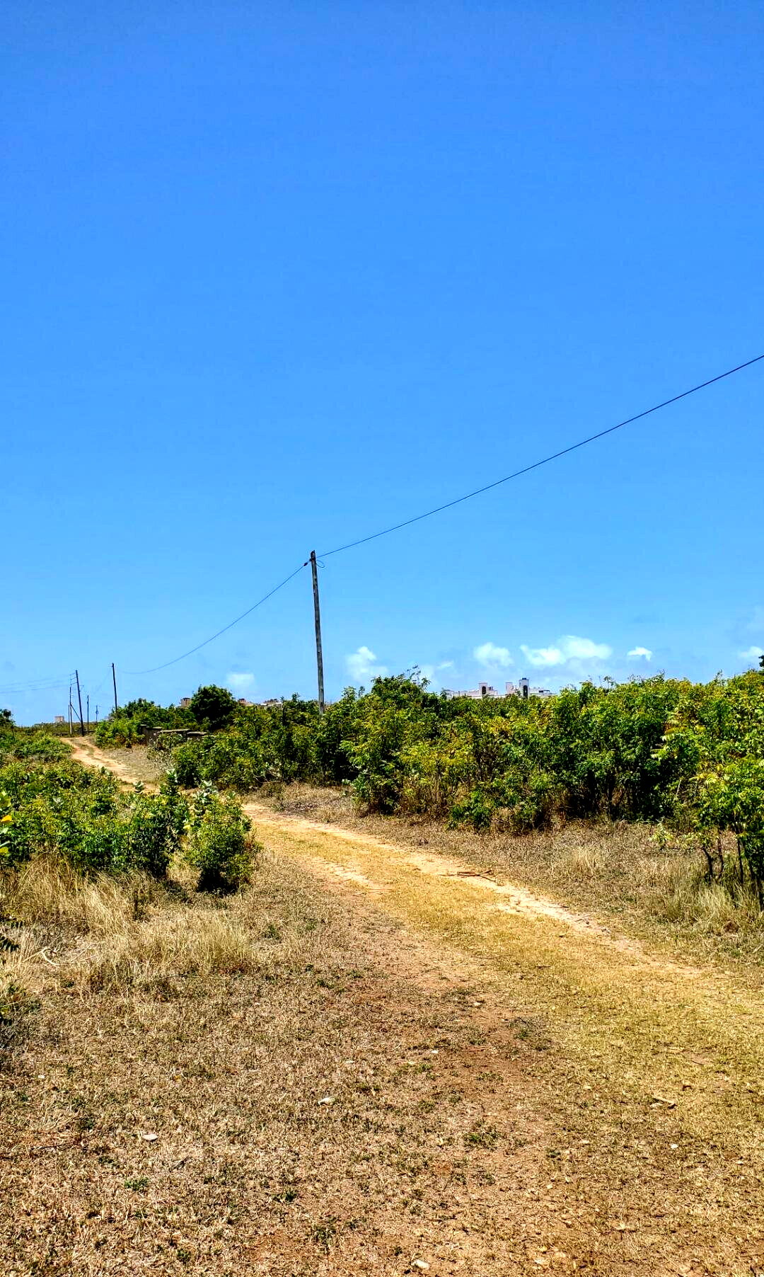 2-Acre Shanzu Gem at KSh 65M