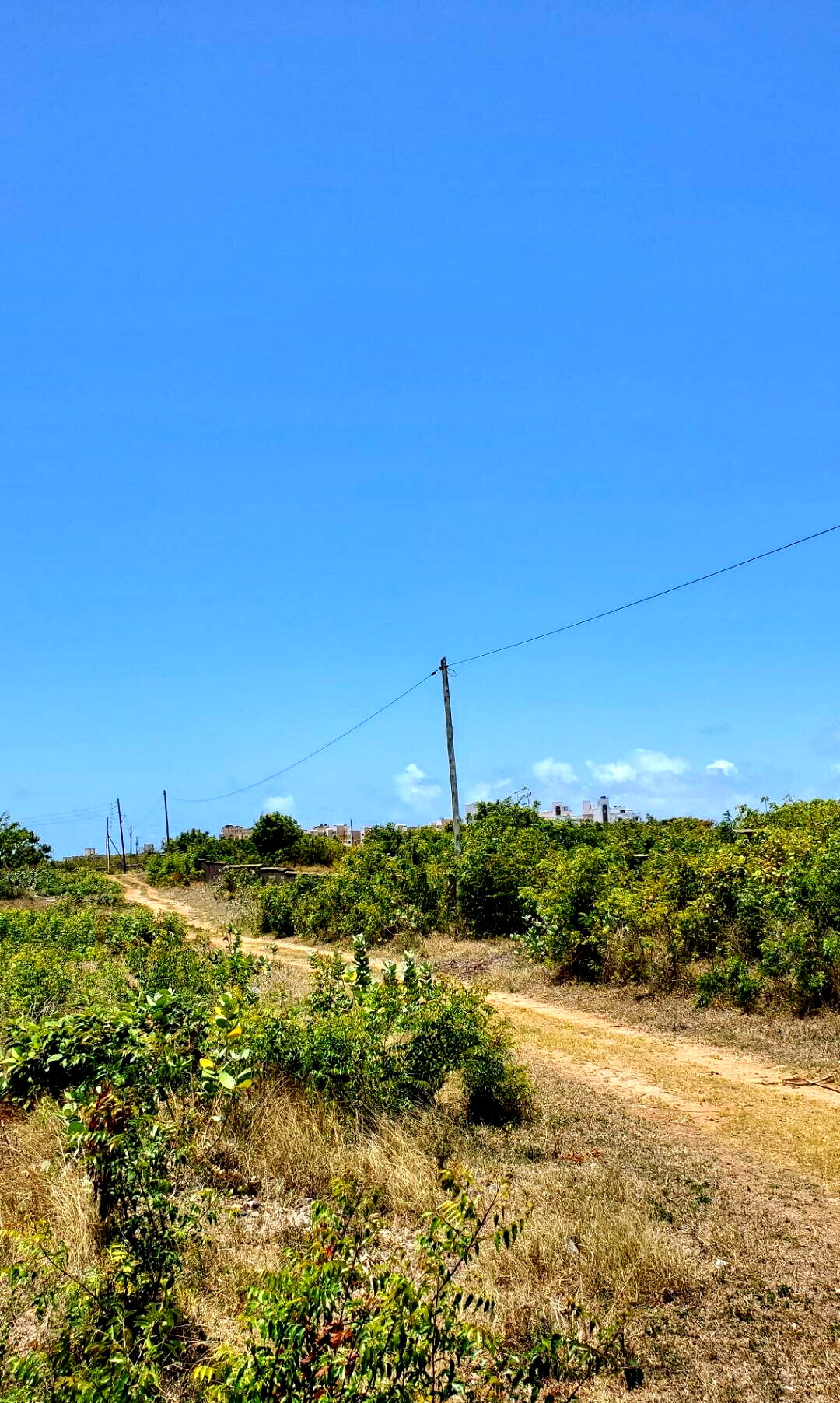 2-Acre Shanzu Gem at KSh 65M