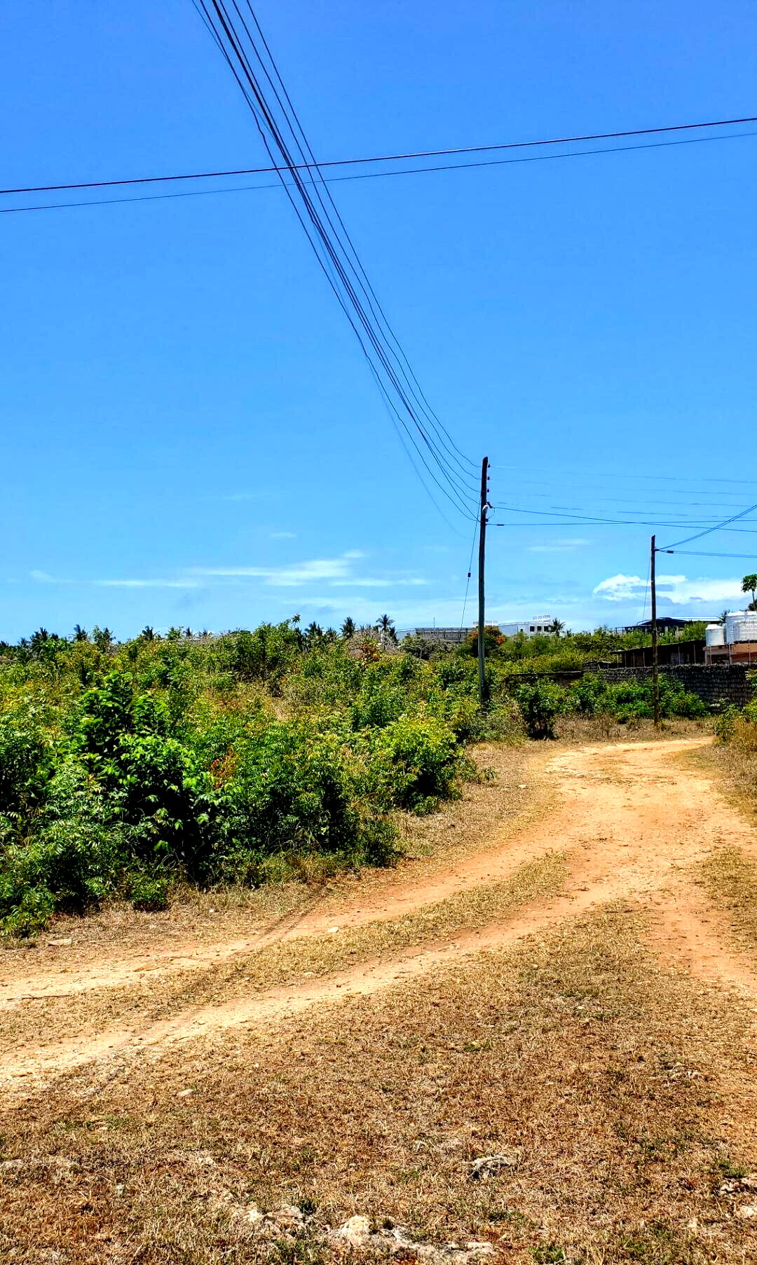 2-Acre Shanzu Gem at KSh 65M