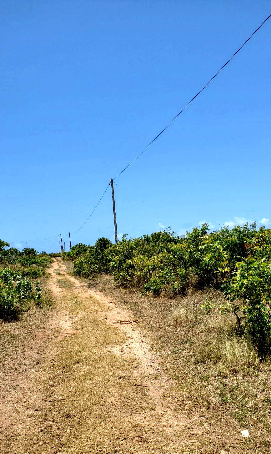2-Acre Shanzu Gem at KSh 65M