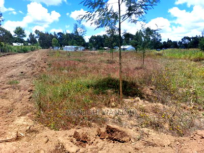 Prime Plots 150 Meters From Highway - Image 3