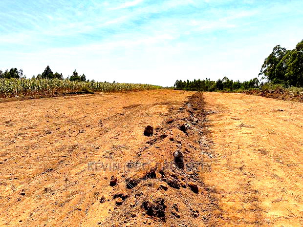 Residential Plots for Sale in Kikuyu, Kamangu, Nguirubi Area