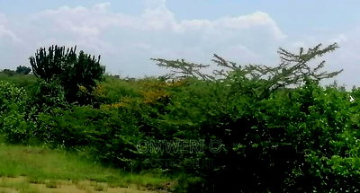 111 Acres for Sale Bomani Kilifi, Coastal Kenya - Image 2