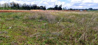 1 Acre Land for Sale in Sergoit Moiben in Eldoret - Image 3
