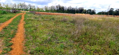 1 Acre Land for Sale in Sergoit Moiben in Eldoret - Image 7