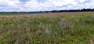1 Acre Land for Sale in Sergoit Moiben in Eldoret - Image 4