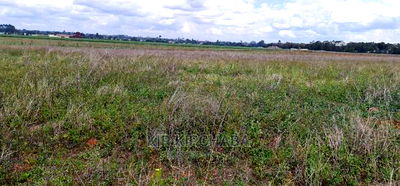 1 Acre Land for Sale in Sergoit Moiben in Eldoret - Image 2