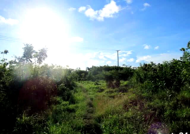 2.3-Acre Beach Plot in Mombasa CBD