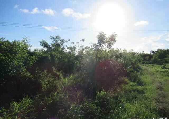 2.3-Acre Beach Plot in Mombasa CBD