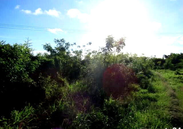 2.3-Acre Beach Plot in Mombasa CBD