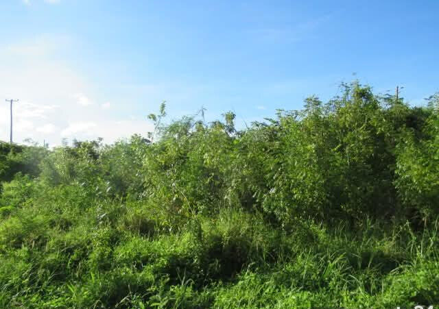 2.3-Acre Beach Plot in Mombasa CBD