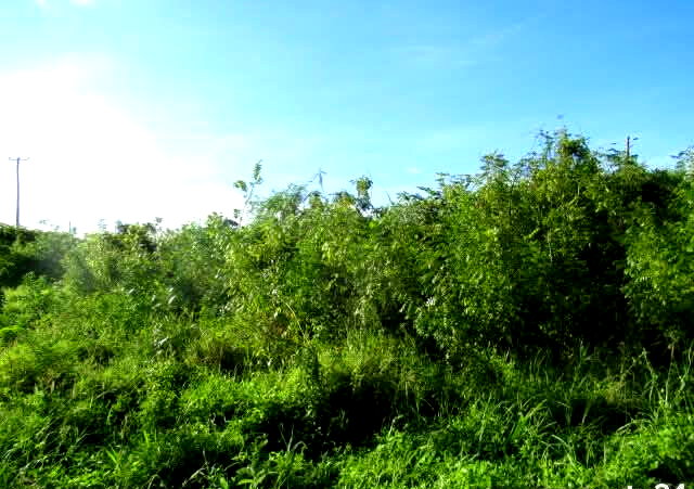 2.3-Acre Beach Plot in Mombasa CBD
