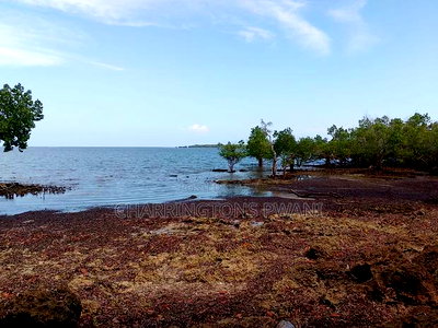 Rocky Beachfront With Sunset View in Shimoni - Image 1