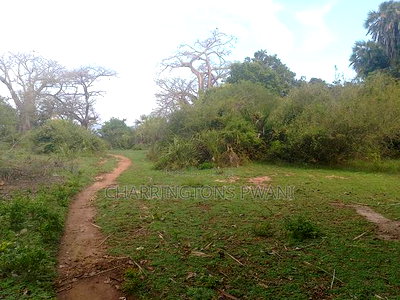 Rocky Beachfront With Sunset View in Shimoni - Image 2