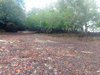 Rocky Beachfront With Sunset View in Shimoni - Image 4