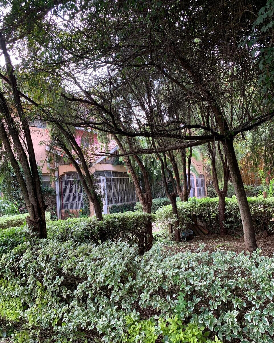 Half Acre Garden Plot at KSh 70M
