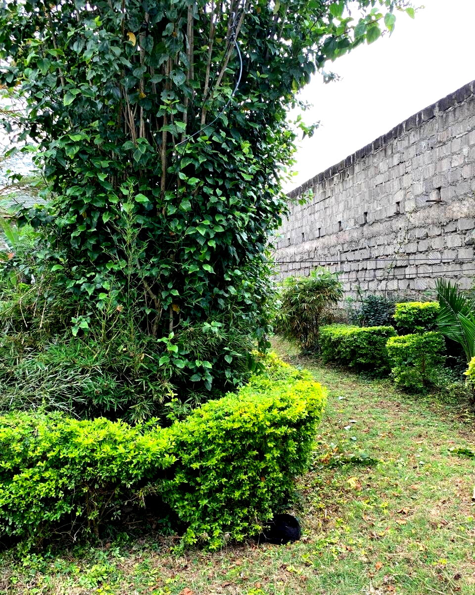 Half Acre Garden Plot at KSh 70M