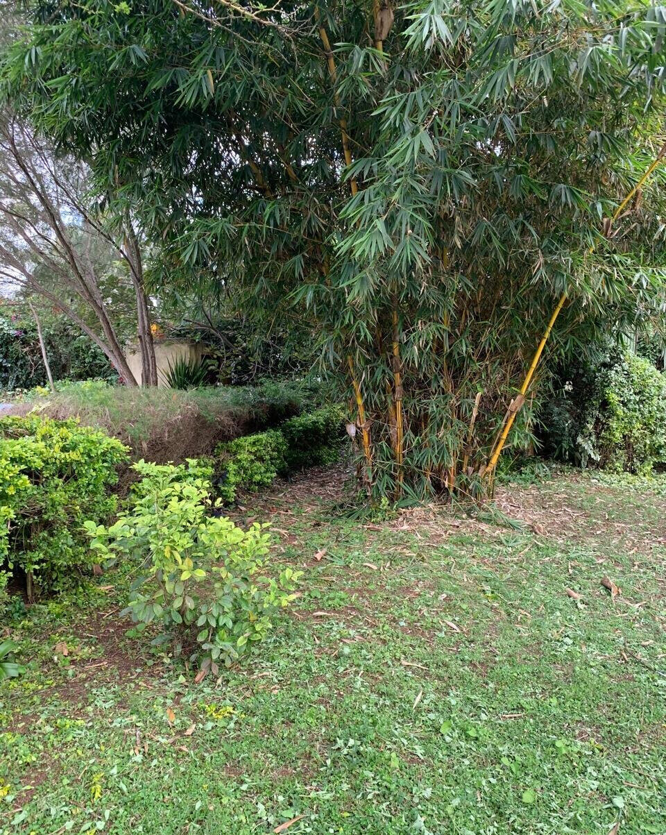 Half Acre Garden Plot at KSh 70M