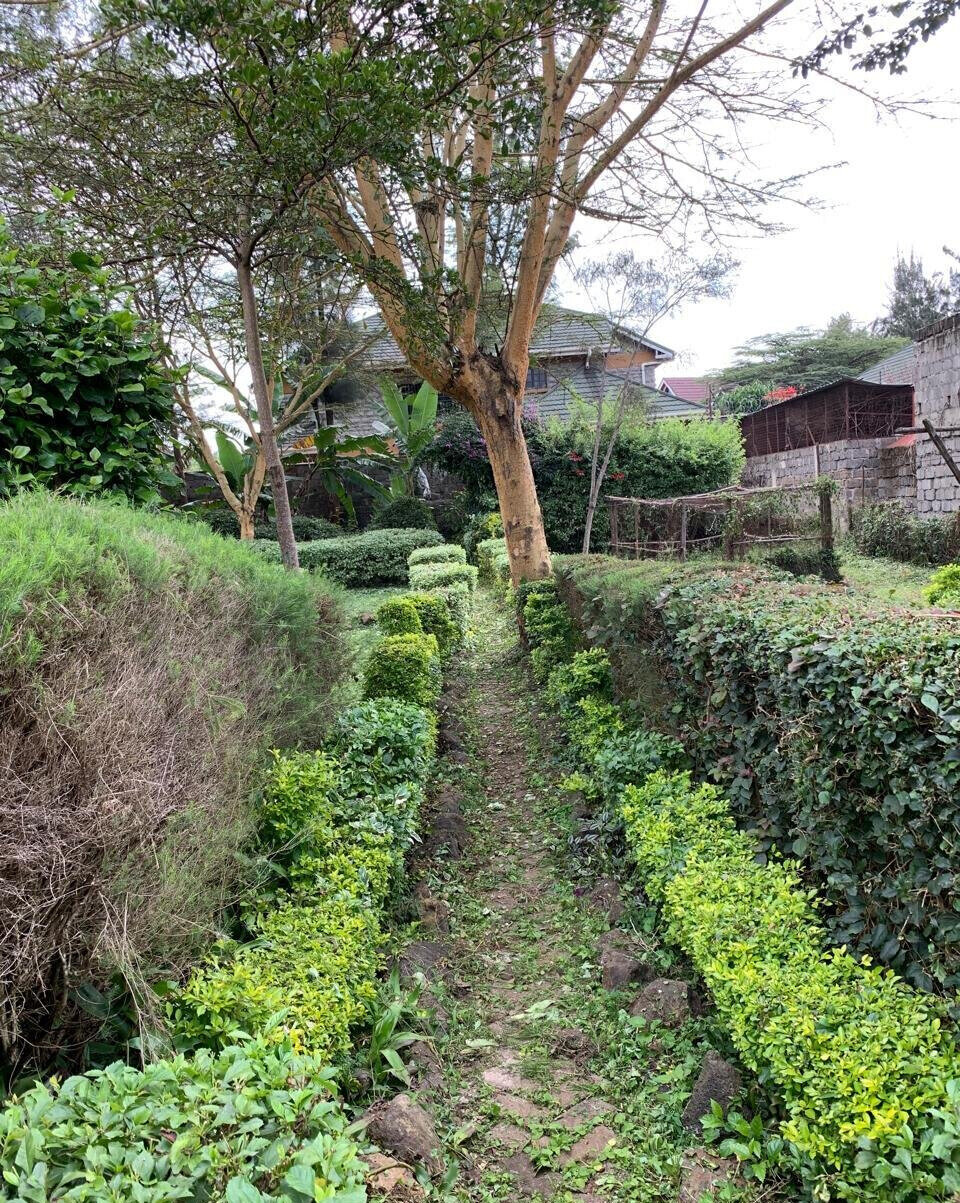 Half Acre Garden Plot at KSh 70M