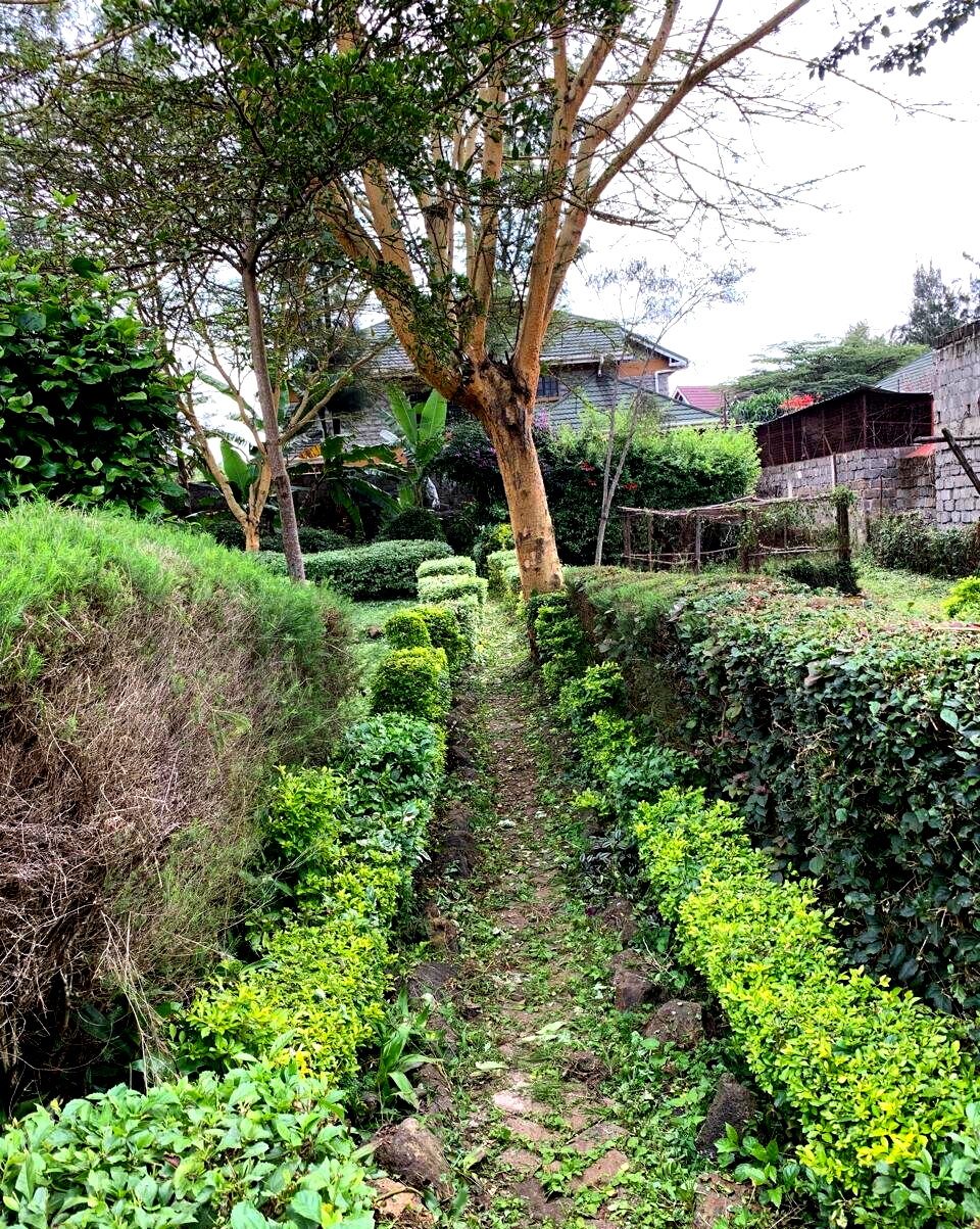 Half Acre Garden Plot at KSh 70M