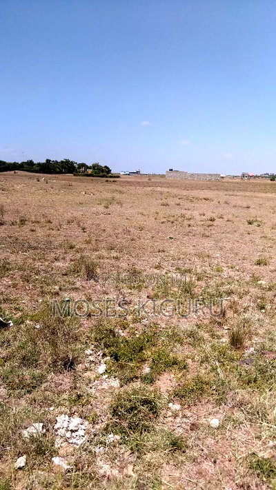 JUJA, 5 Acres Touching Tarmac - Image 6