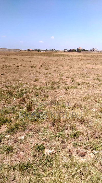 JUJA, 5 Acres Touching Tarmac - Image 7