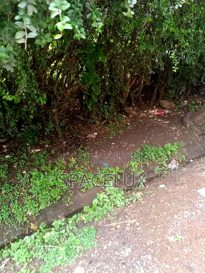 1 Acre Riverside Drive - Image 2