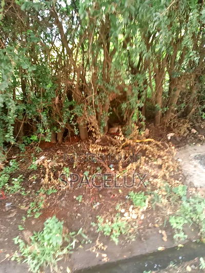 1 Acre Riverside Drive - Image 1