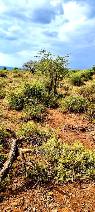 Prime 10 Acres Cliff Edge ,Lentoko,At 420k Per Acre - Image 3