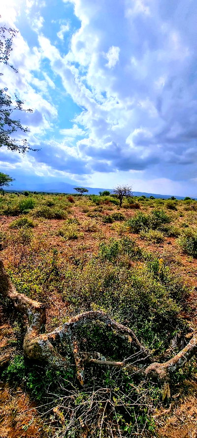 Prime 10 Acres Cliff Edge ,Lentoko,At 420k Per Acre - Image 5