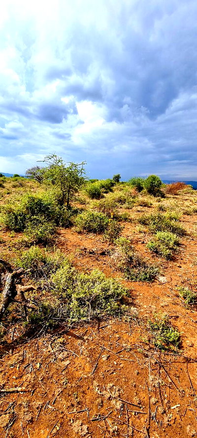 Prime 10 Acres Cliff Edge ,Lentoko,At 420k Per Acre - Image 4