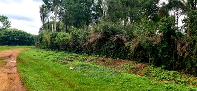 1 Acre Into 1/2 and 1/4 Plots for Sale in Elgonview Eldoret - Image 3