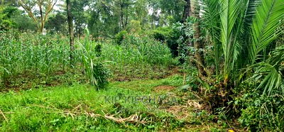 1 Acre Into 1/2 and 1/4 Plots for Sale in Elgonview Eldoret - Image 4
