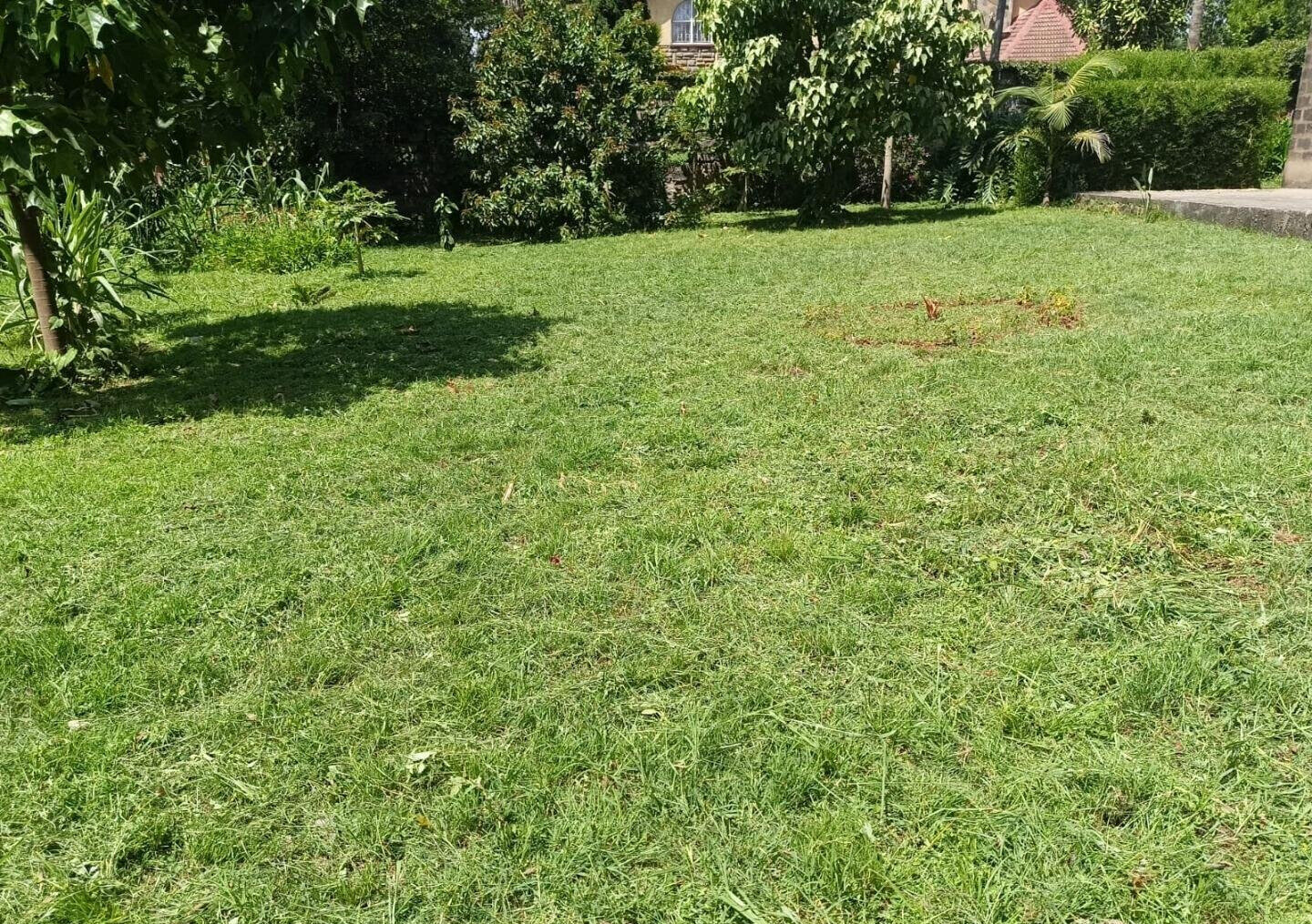 Garden Oasis for KSh 220K