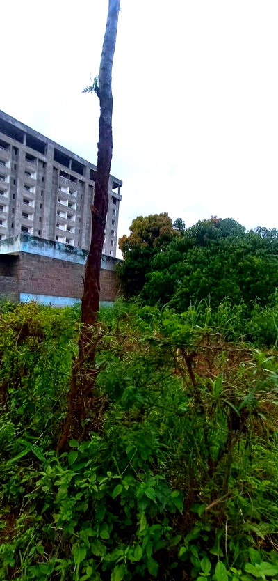 50x100 Plot for Sale in Wote