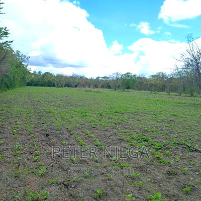5 Acres Plus 7 Bedroom Maisonette in Kitengela Milimani - Image 15