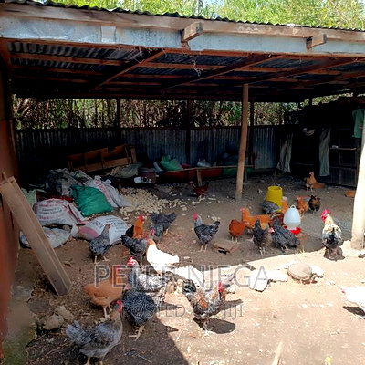 5 Acres Plus 7 Bedroom Maisonette in Kitengela Milimani - Image 13