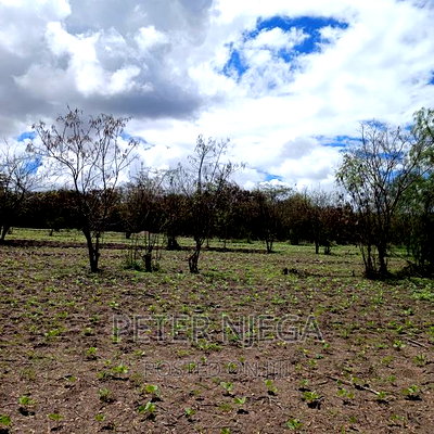 5 Acres Plus 7 Bedroom Maisonette in Kitengela Milimani - Image 16