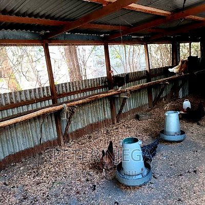 5 Acres Plus 7 Bedroom Maisonette in Kitengela Milimani - Image 14