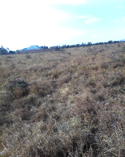 KSh 1.2M Plot with Garden & Parking