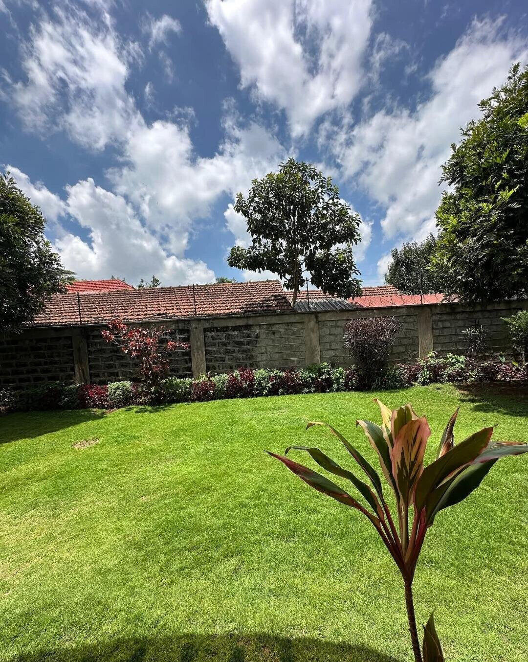 5-Ensuite Family Home with Fireplace & Garden - Lavington