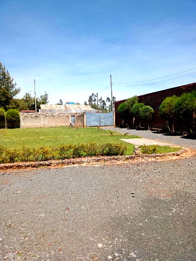 Furnished 4bdrm Bungalow in Chipsy Road Kimumu, Eldoret CBD for Sale - Image 3