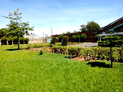 Furnished 4bdrm Bungalow in Chipsy Road Kimumu, Eldoret CBD for Sale - Image 5