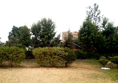 5-Acre Pet Friendly Land in Githurai