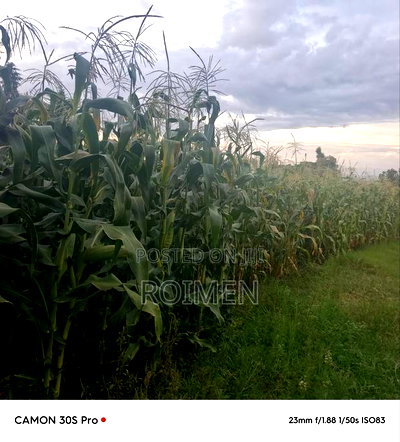 20 Acres Loitoktok Entonet Area. - Image 12