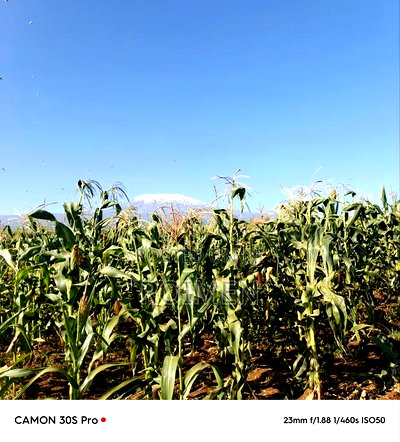 20 Acres Loitoktok Entonet Area. - Image 6